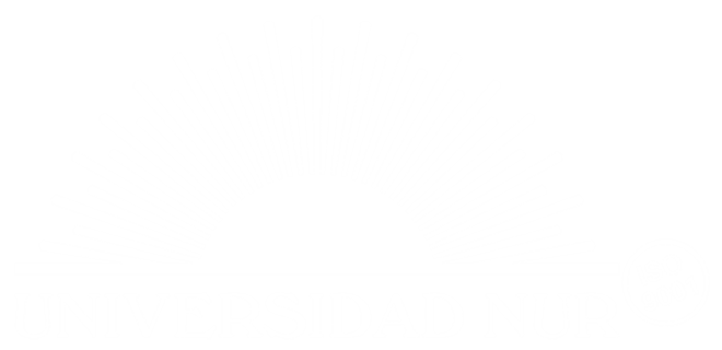 logo nur